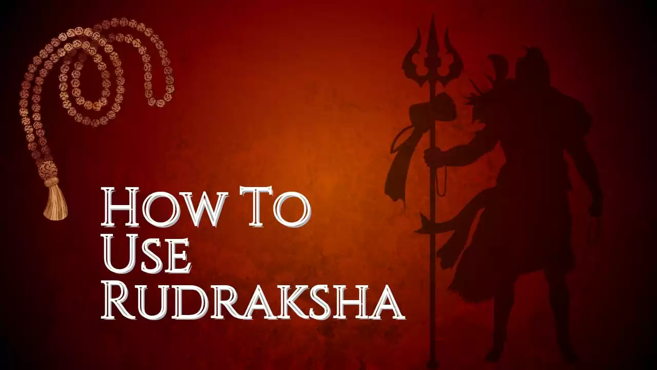 How To Use Rudraksha To Bring More Luck And Success In Life?